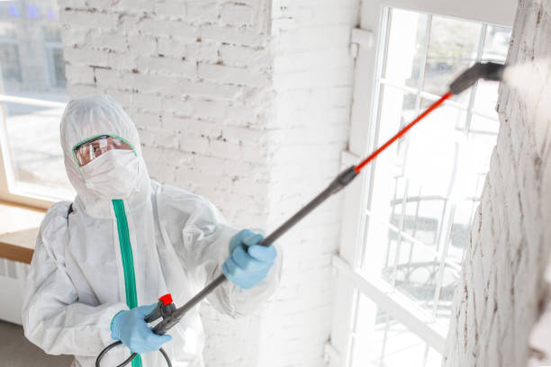 Best Mold-Related Health Consultation  in Peachtree City, GA