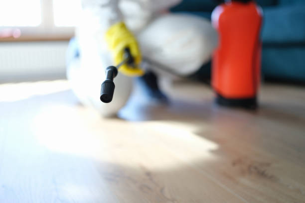 Best Crawl Space Mold Remediation  in Peachtree City, GA